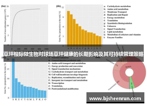 草坪根际微生物对球场草坪健康的长期影响及其可持续管理策略